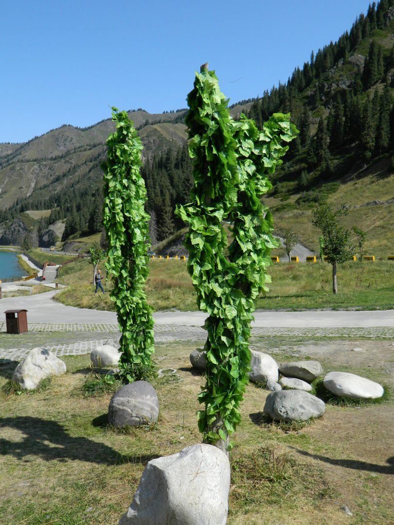 DSCN2671.JPG