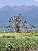 IMG_20250608_131241.jpg