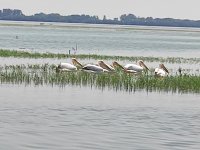IMG_20250608_130924.jpg