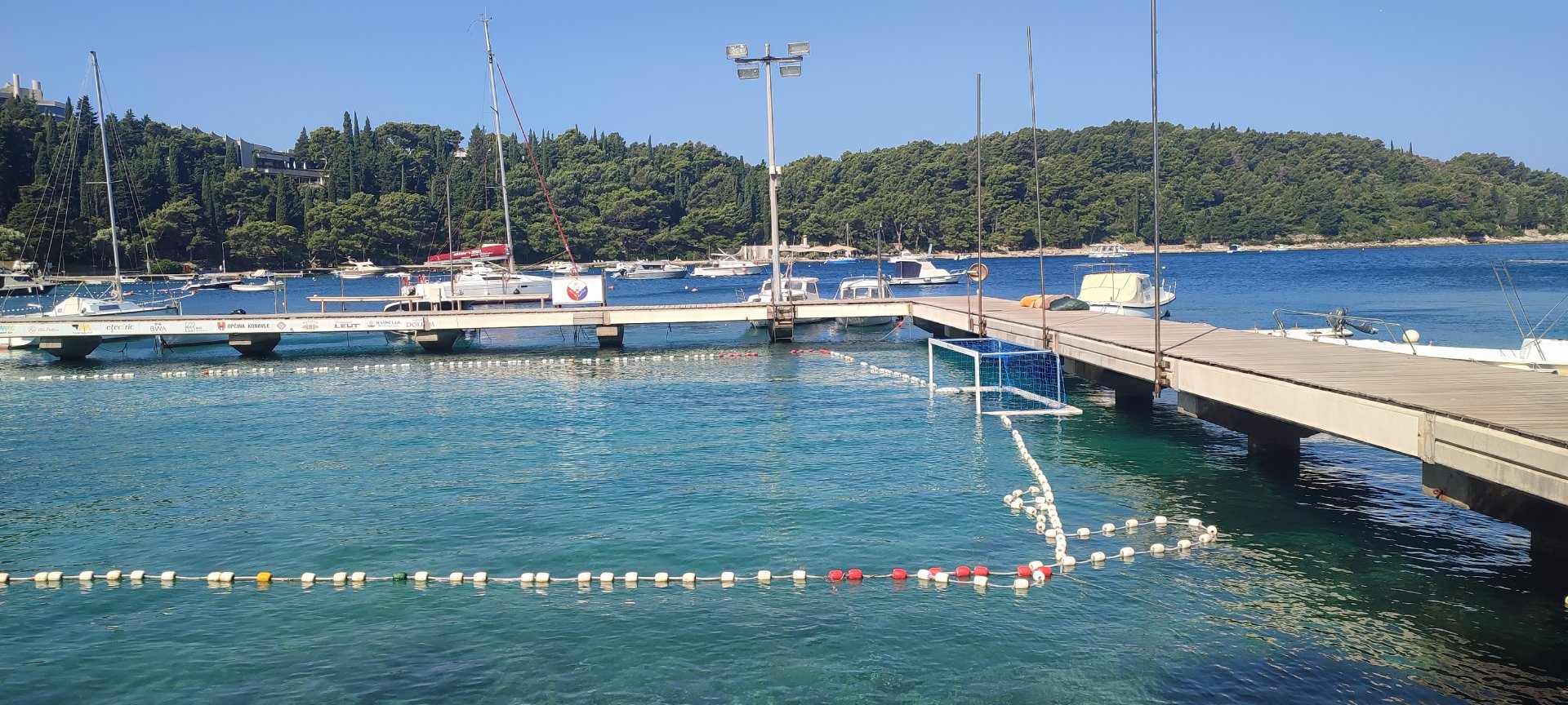 IMG_20250609_093130.jpg