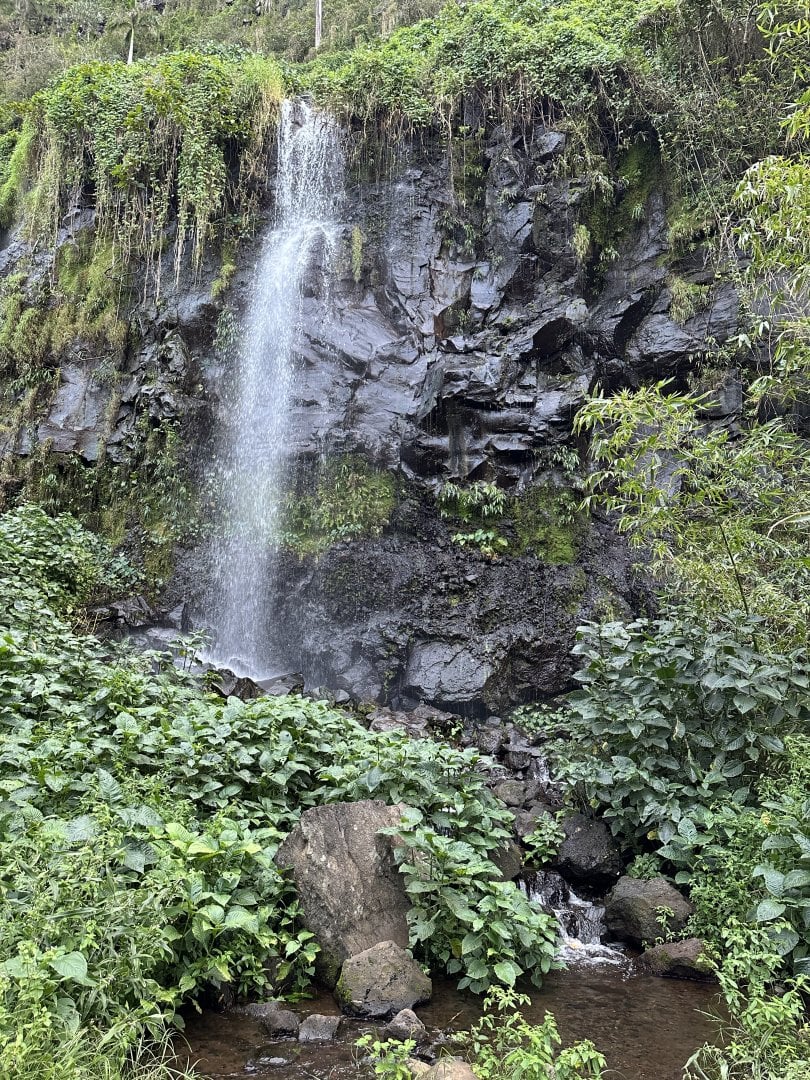 IMG_7444.jpeg