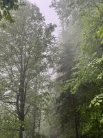 IMG_6220.jpeg