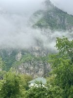 IMG_6237.jpeg