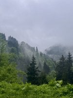 IMG_6263.jpeg