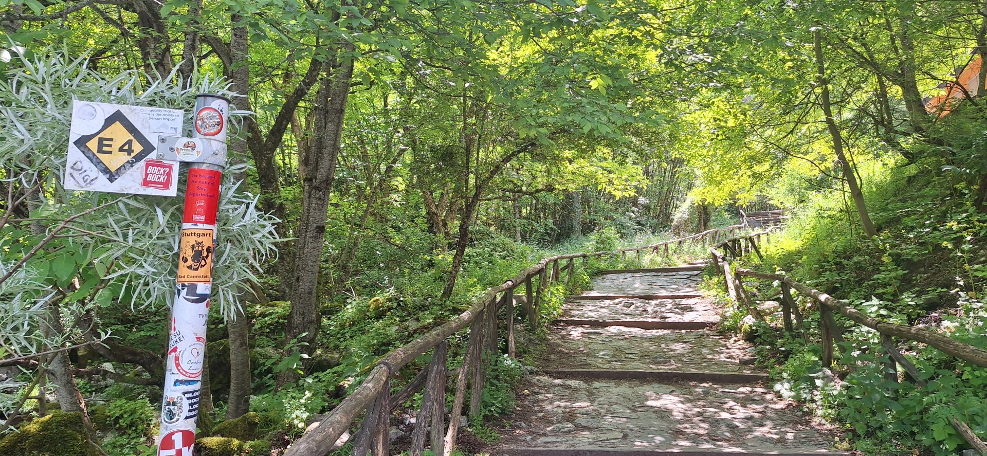 20250611_143923.jpg