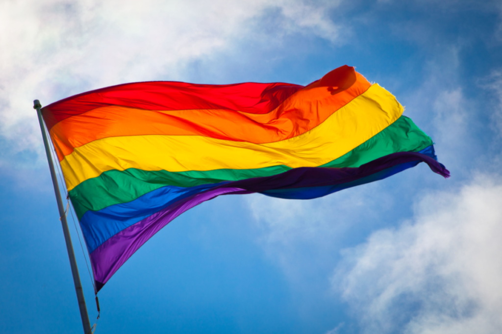 Flag-for-History-1-1024x681.png