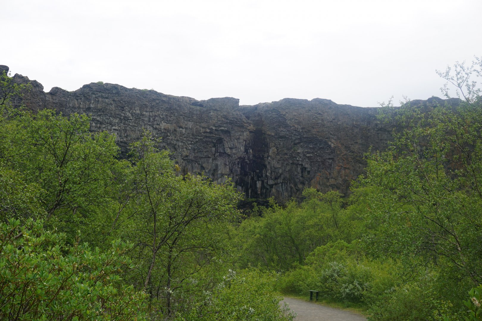 DSC01533.JPG
