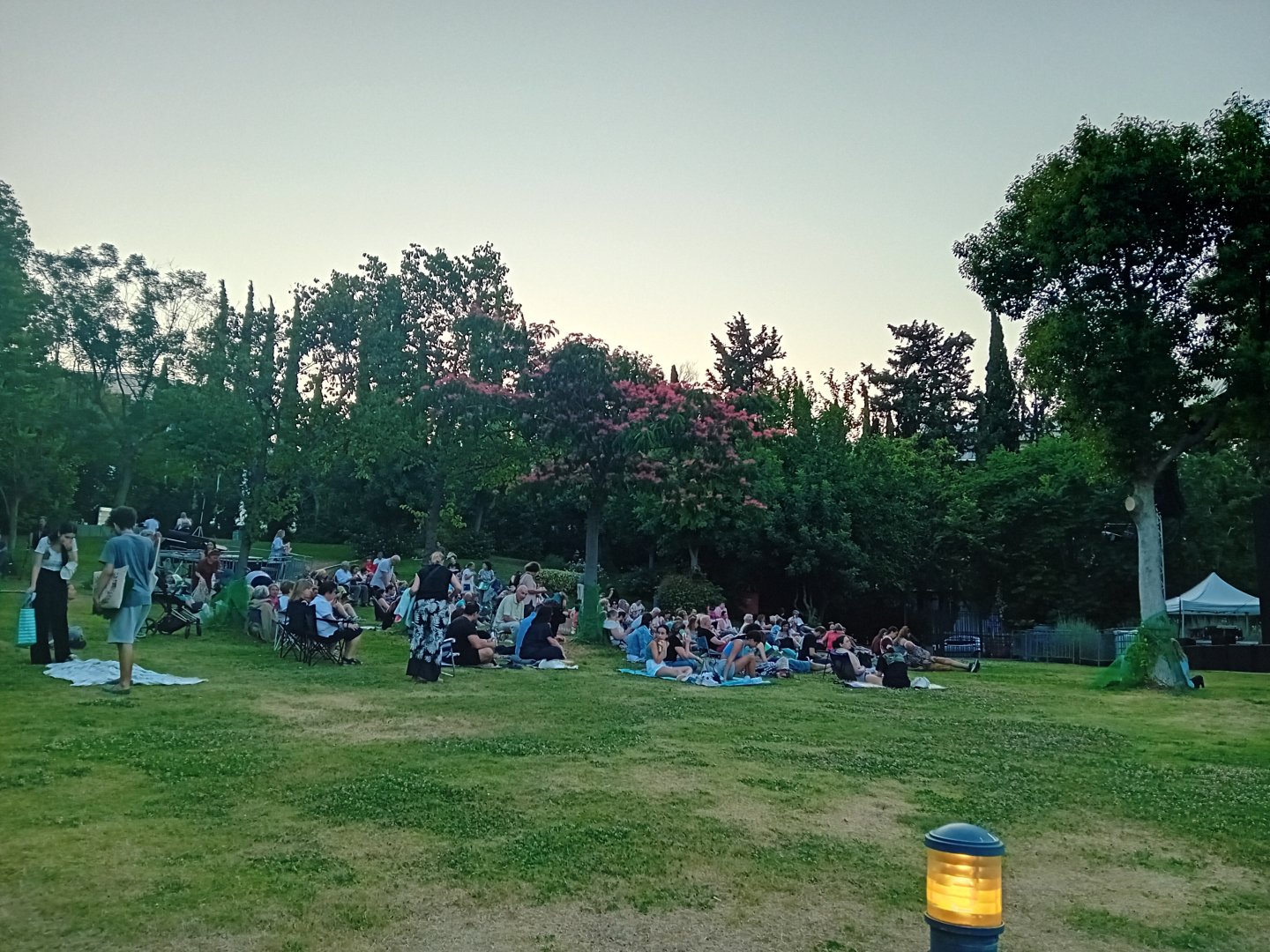 20250615_201448.jpg