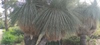 IMG_20250616_112654.jpg