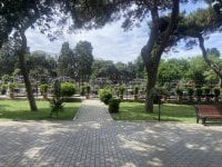 IMG_0683.jpeg