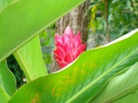 IMG_0154.jpeg