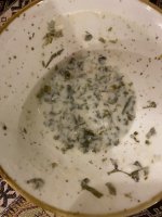 IMG_0897.jpeg