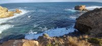 IMG_20250624_115129.jpg