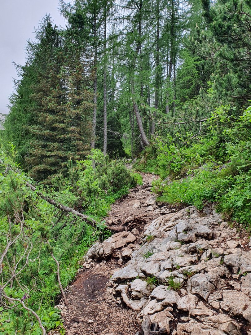 20220607_133541.jpg