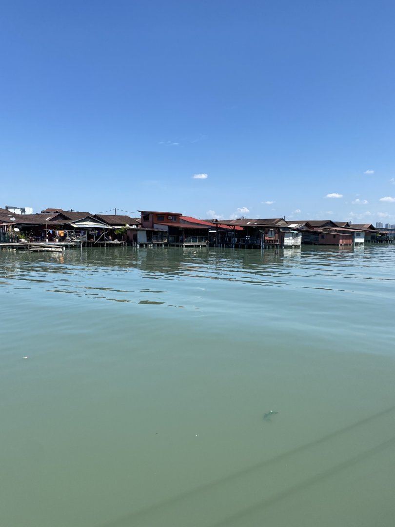 IMG_6437.jpeg