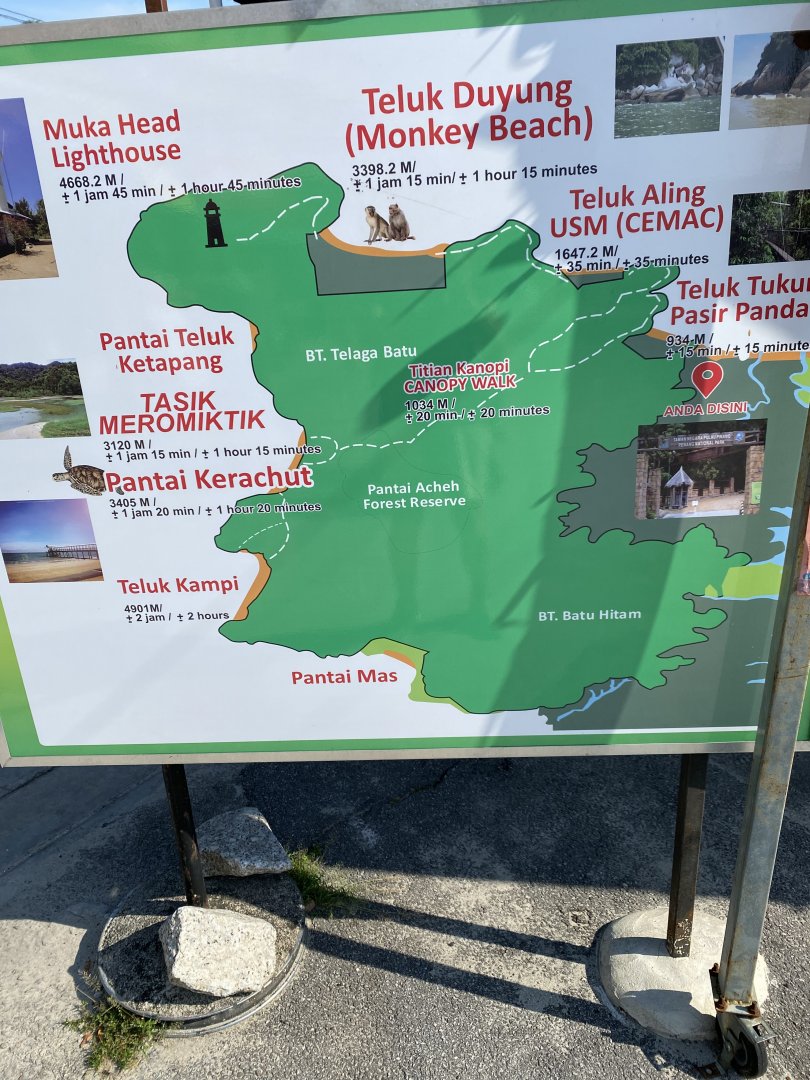 IMG_6504.jpeg