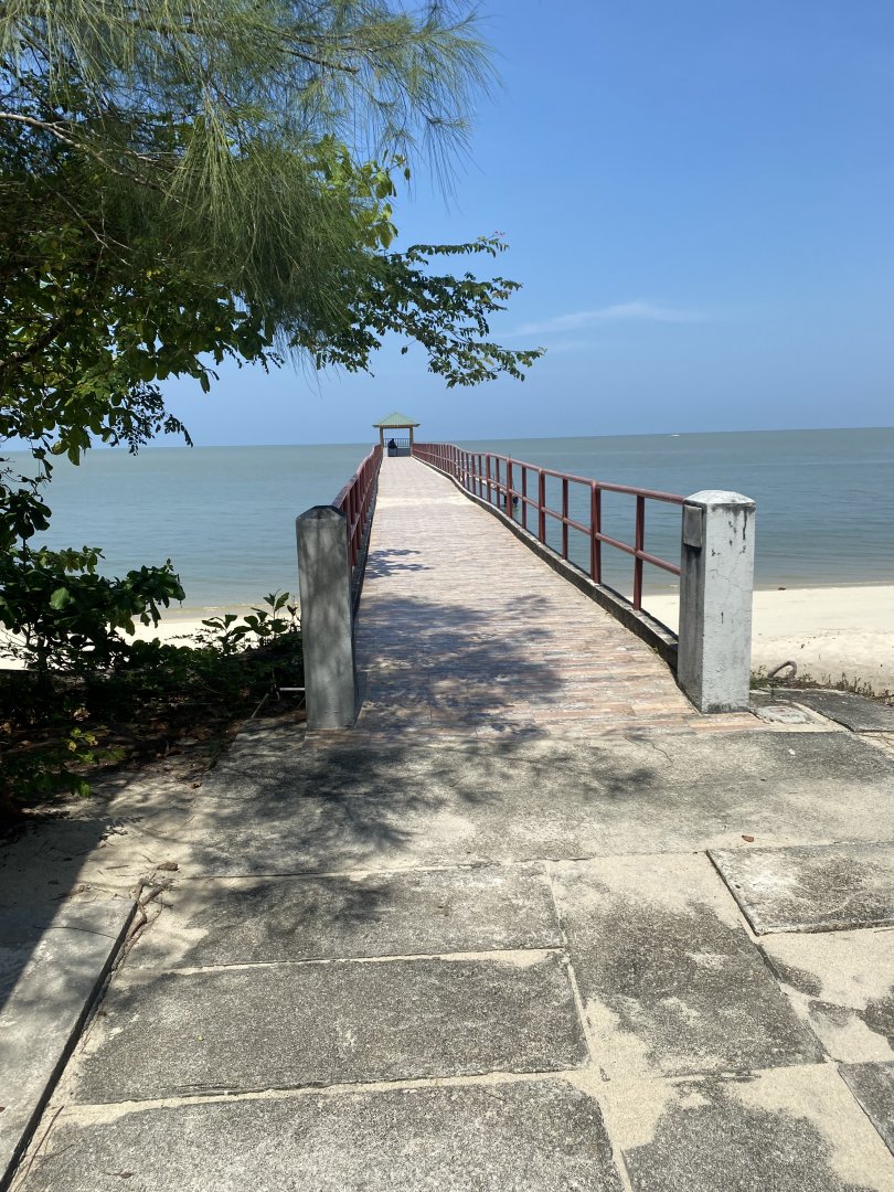 IMG_6568.jpeg