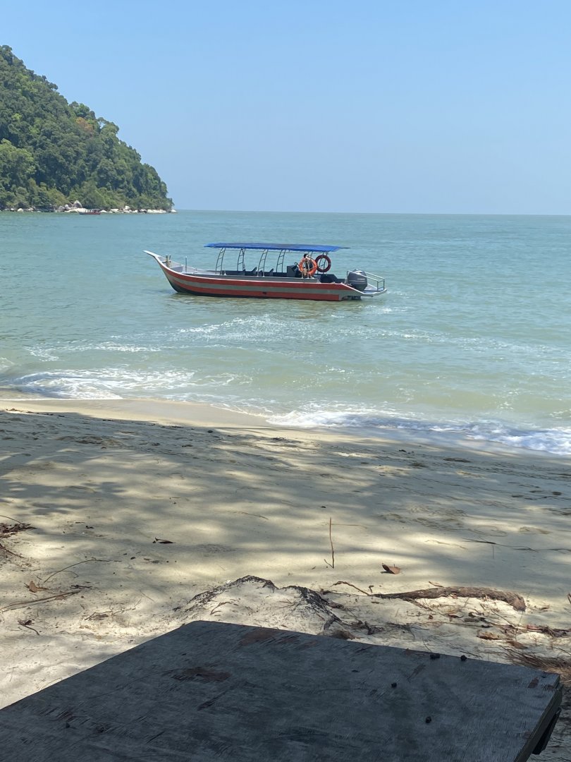 IMG_6581.jpeg