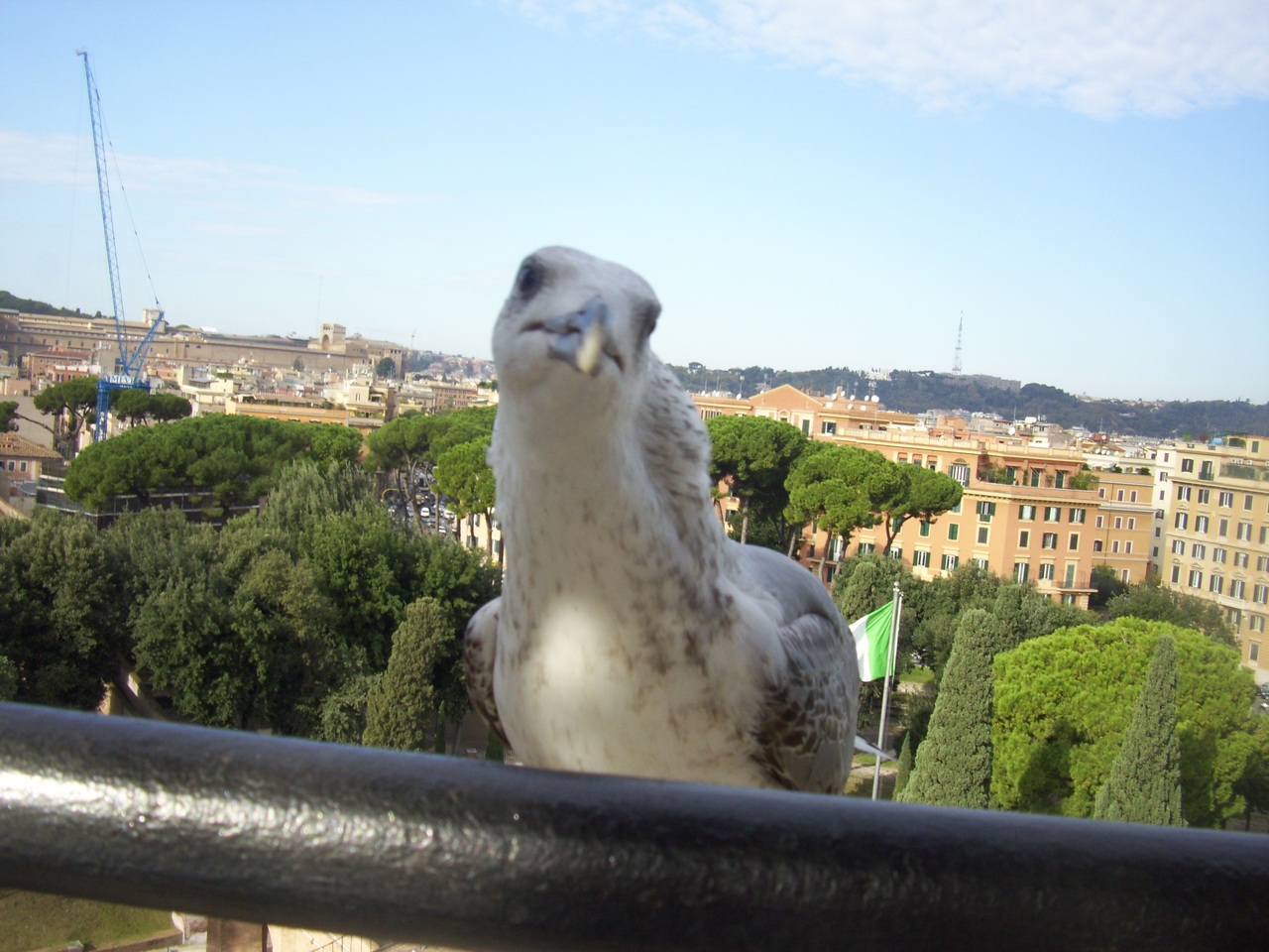 100_9183.JPG