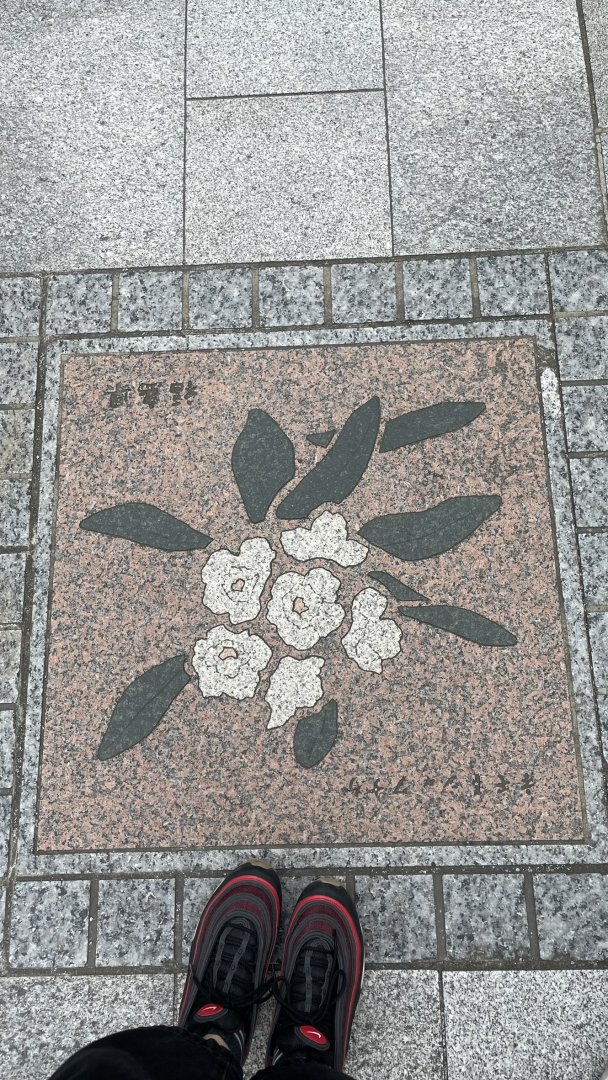 1751430278813.jpeg
