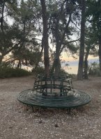 IMG_5080.jpeg