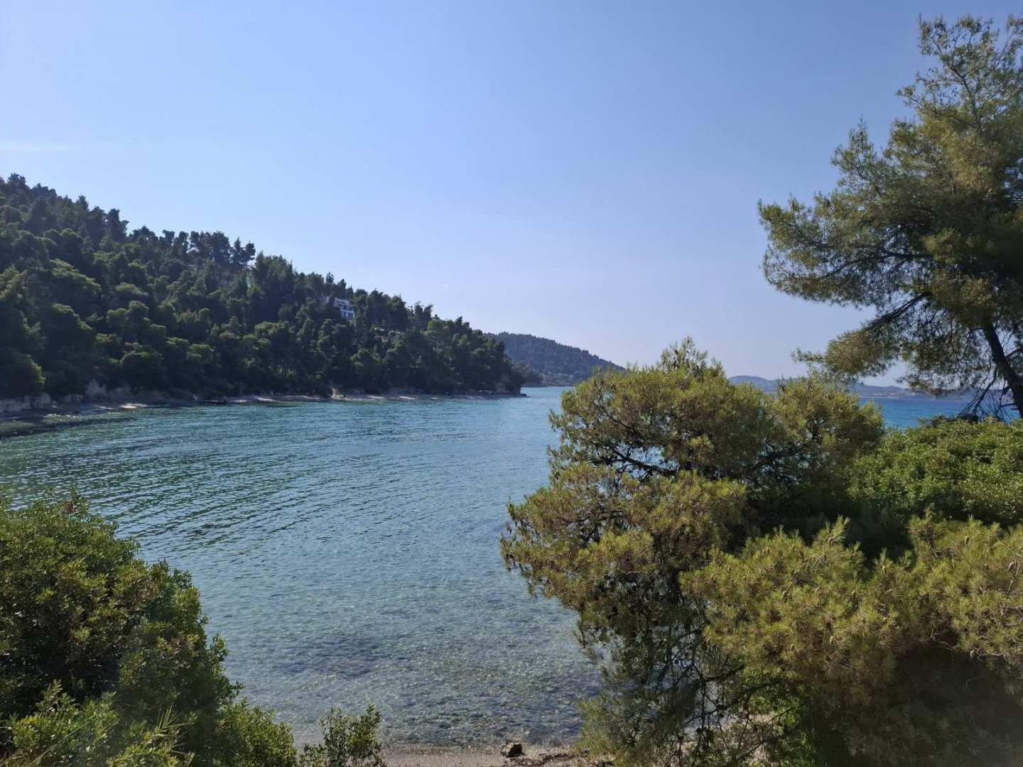 εικόνα_Viber_2025-07-01_10-14-35-355.jpg