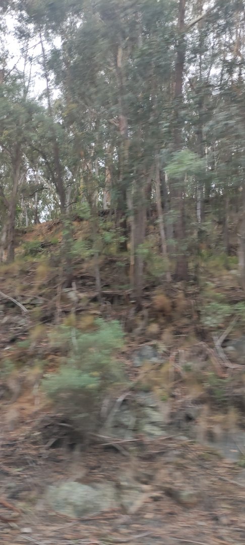 IMG_20250708_120118.jpg
