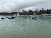 IMG_4814.JPEG