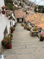 IMG_5889.JPEG