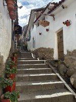 IMG_6168.JPEG