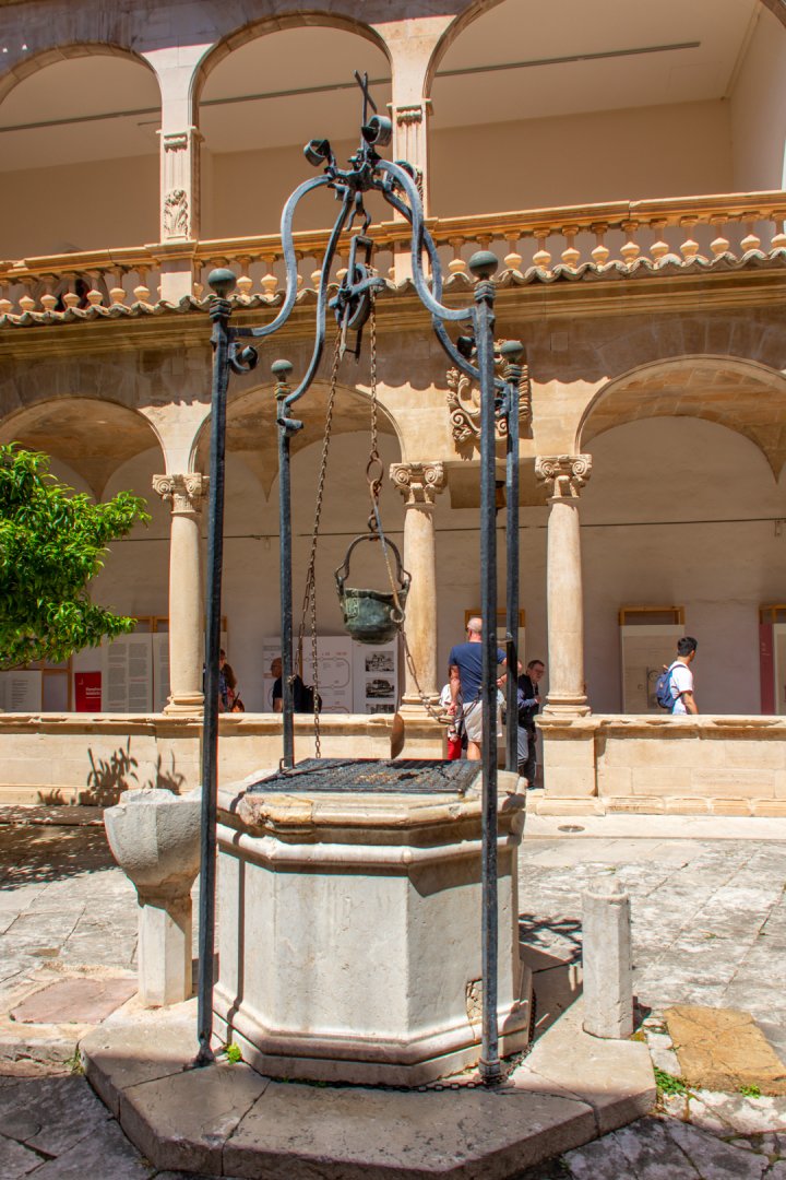 2025-05-09_12-20-20.jpg