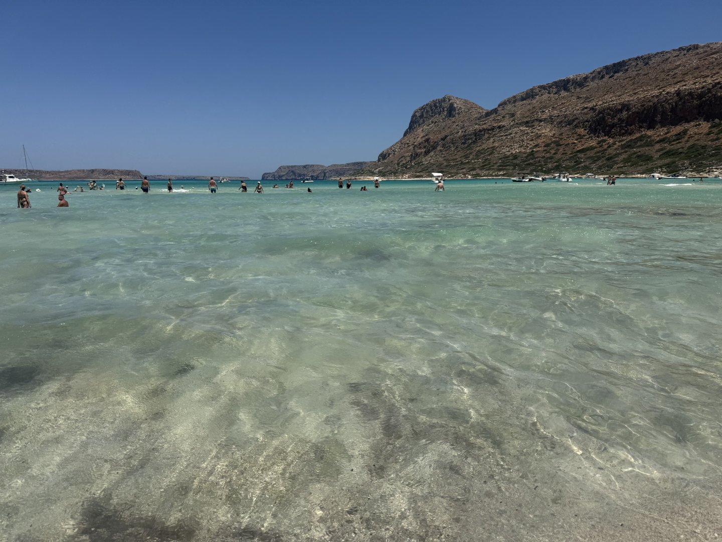 IMG_6029.jpeg
