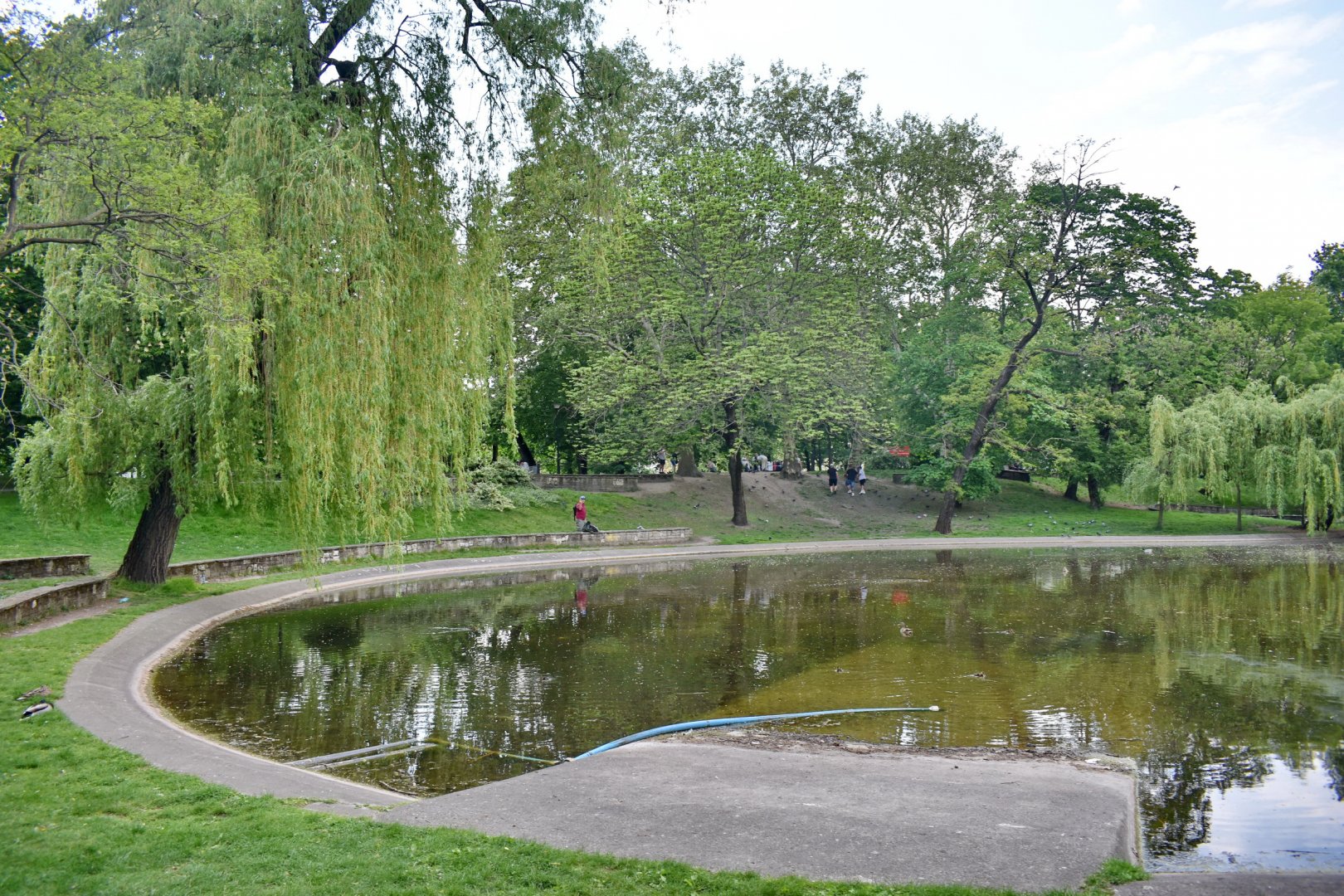 DSC_0422.JPG