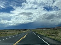IMG_8266.jpg