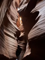 IMG_8422.jpg