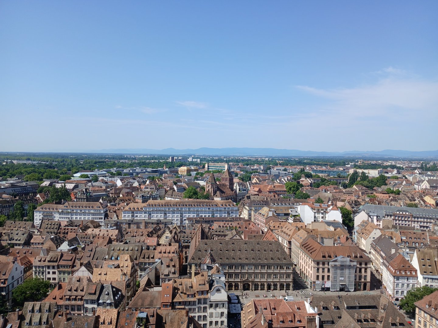 20250625_113512.jpg