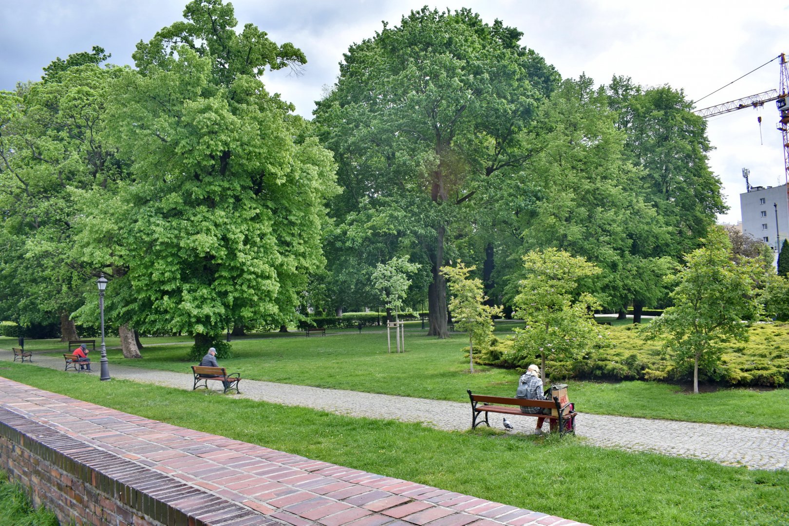 DSC_0685.JPG