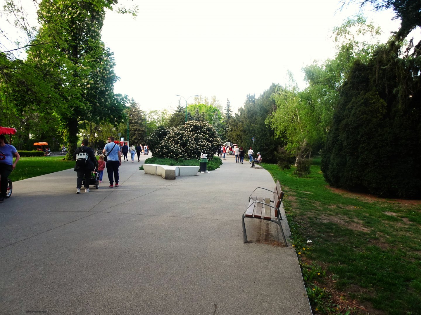 DSC00245.JPG