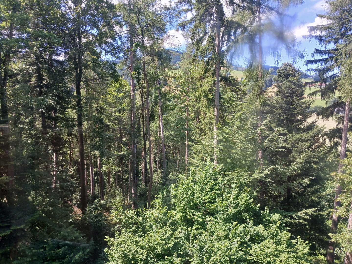 20250628_120252.jpg