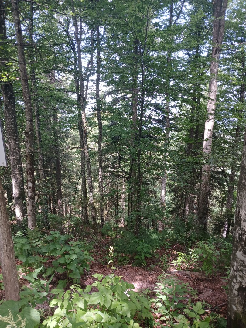 20250628_124356.jpg