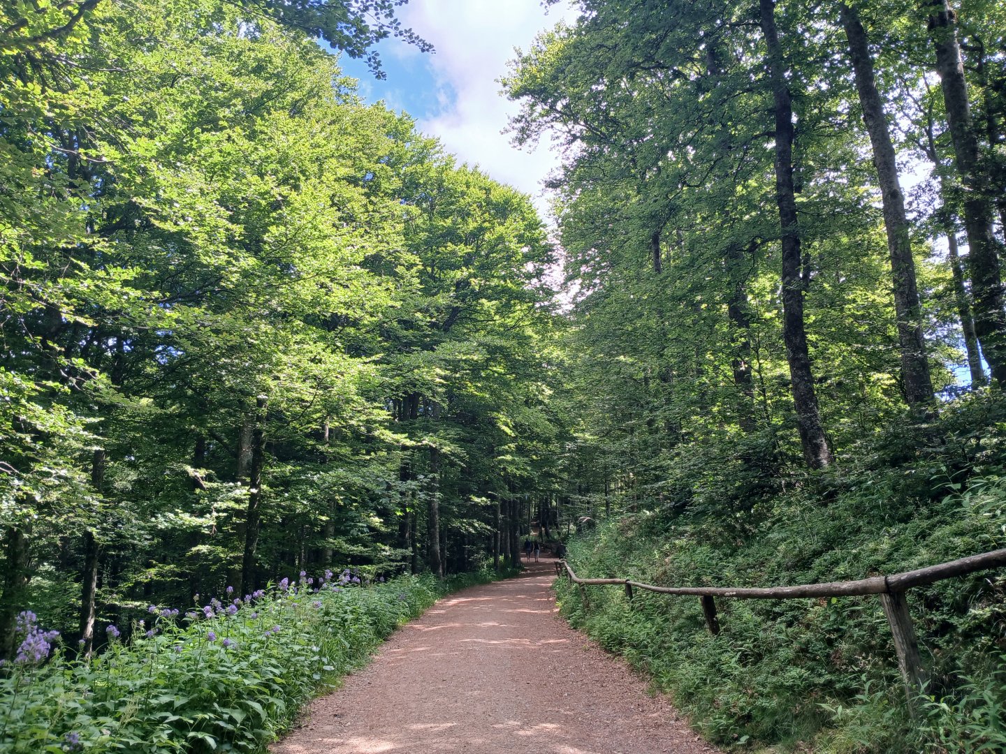 20250628_124711.jpg