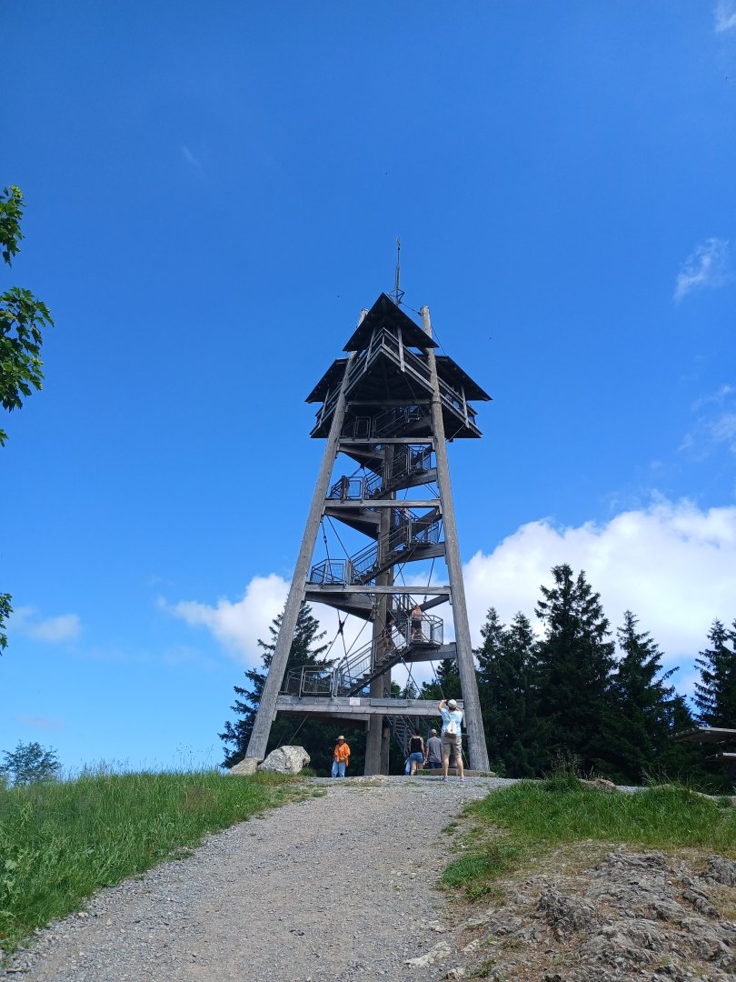 20250628_130136.jpg