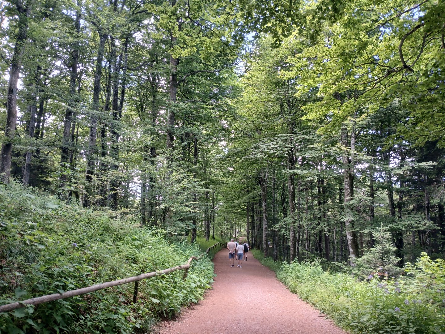 20250628_130359.jpg