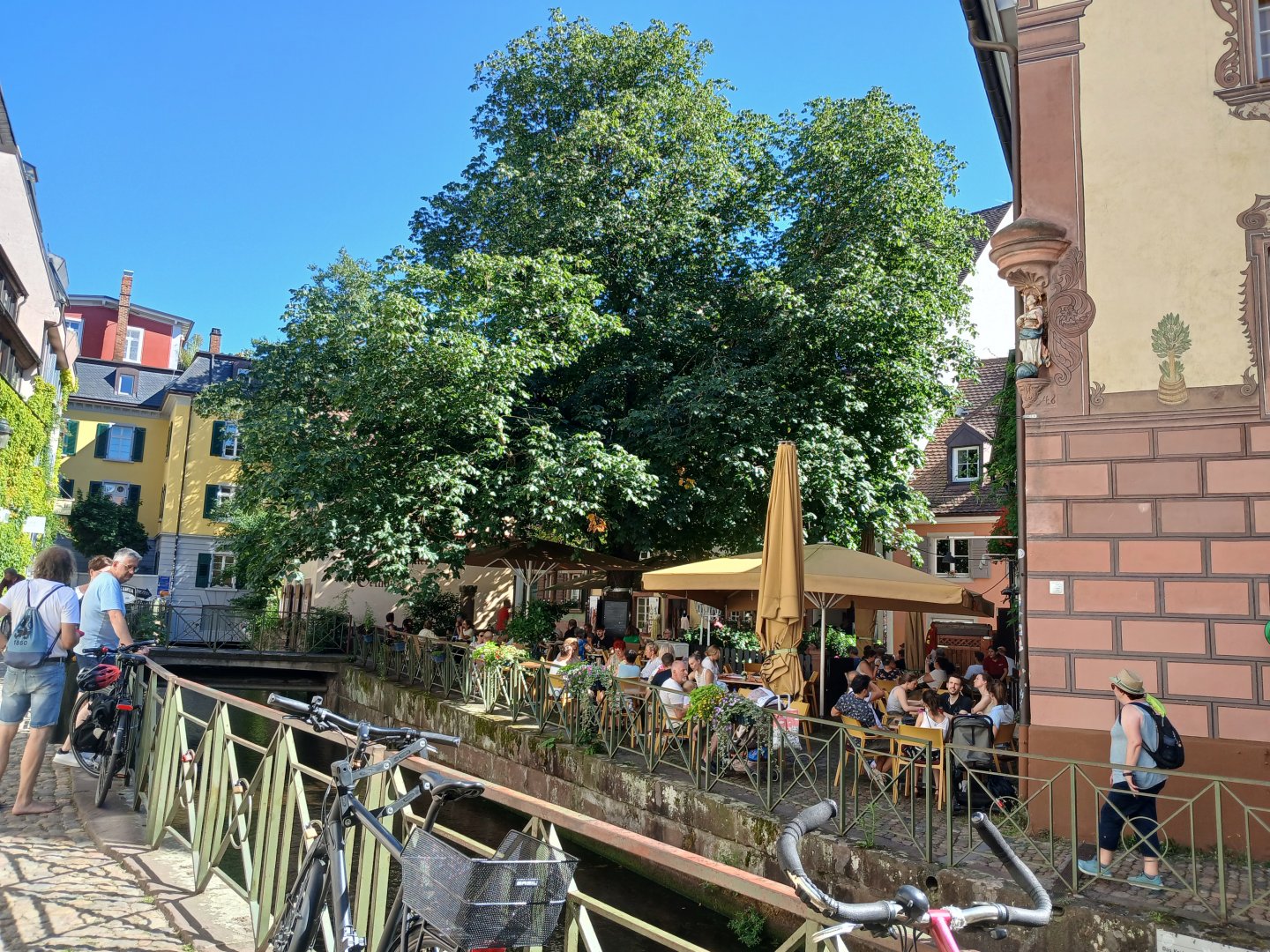 20250628_165830.jpg