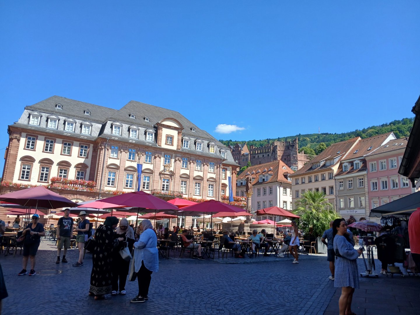 20250629_152720.jpg