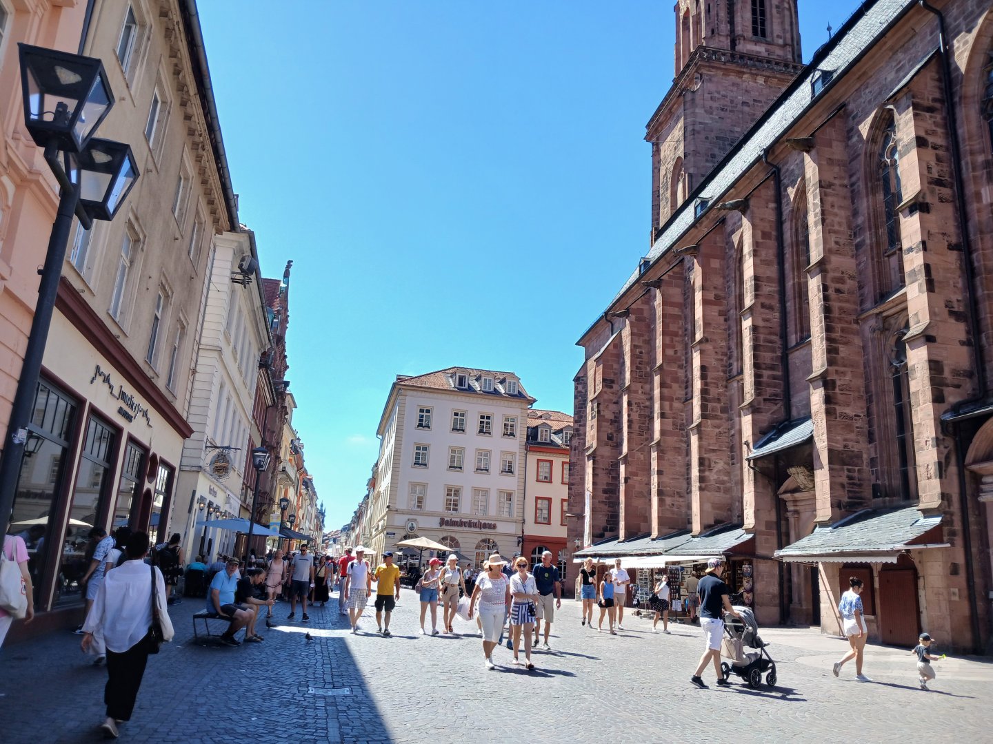 20250629_152948.jpg