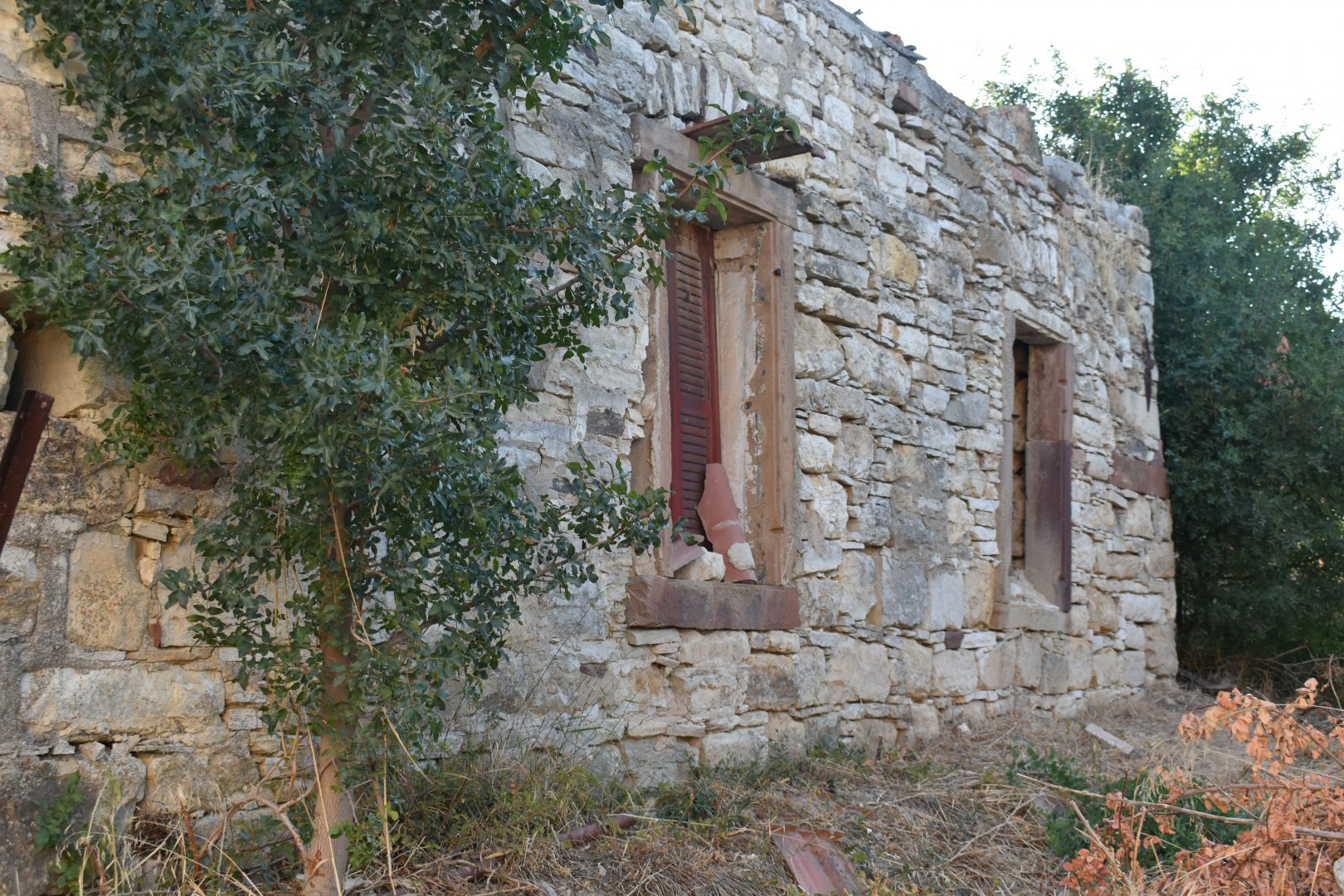 DSC_0165 resize.JPG