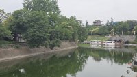 20250603_113014.jpg