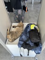 IMG_3420.jpeg