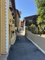 IMG_3419.jpeg